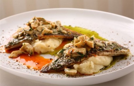 פילה דניס על מצע פירה ובליווי סלט ארטישוק