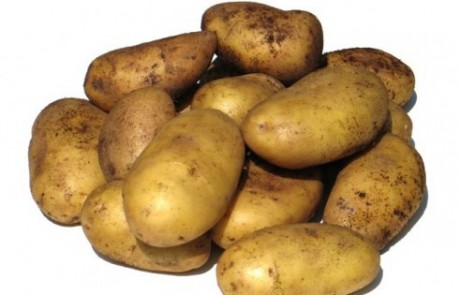 לקראת ל"ג בעומר: הכל על תפוח האדמה